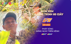 60 Giây ngày 25/12/2025 | Vĩnh Long: Mai nở hoa sớm, nhà vườn lo lắng