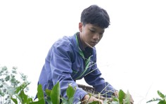 Em Danh Tuấn nỗ lực vượt khó khi cha mất, mẹ bệnh nặng