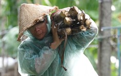 Em Phi Dung: Ba em bệnh nặng, mẹ liệt ngửa người, em gái ba lần mổ tim