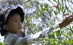 Minh Huy: Con ước thành đầu bếp nấu, nấu bữa ngon cho bà cố