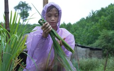 Vi Thị Viện: Cô bé dân tộc Thái mồ côi cha, chỉ mong mẹ khỏi bệnh - Mái ấm gia đình Việt