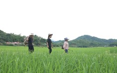 Mái ấm gia đình Việt: Đại Nghĩa, Đồng Ánh Quỳnh và Quang Hà nhiều lần bật khóc vì xót xa