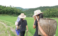 Mái ấm gia đình Việt - Tập 38: Đại Nghĩa, Quang Hà và Đồng Ánh Quỳnh