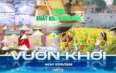 Vươn khơi ngày 11/1/2026 I Từ ngày 1/4, TP. Hồ Chí Minh bắt đầu tiến hành tổng điều tra kinh tế năm 2026