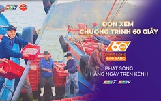 60 Giây ngày 11/1/2026 | Nghệ An: Ngư dân trúng đậm 16 tấn cá cơm