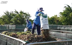 Cùng HTV Hành động xanh - Tập 23: Năng lượng xanh vì một tương lai xanh