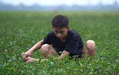 Quang Minh bị thận bẩm sinh, cùng mẹ chạy thận giai đoạn cuối vượt khó