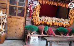 Độc đáo Nhà bên suối - HTV Thành phố không ngủ