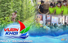 Ngành gỗ đẩy mạnh đa dạng hóa thị trường xuất khẩu | Vươn Khơi - Ngày 28/10/2026