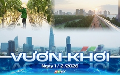 Vươn khơi - Ngày 1/2/2026 | Nông dân trồng mai bước vào thời điểm quan trọng nhất