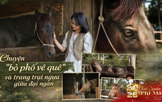 Chuyện “bỏ phố về quê” và nông trại ngựa giữa đại ngàn