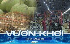 Vươn khơi - Ngày 13/2/2026 | Công nghiệp ô tô Việt Nam đón làn sóng đầu tư mới
