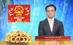 Chương trình hành động Ứng cử viên Đại biểu Quốc hội Khóa XVI Nguyễn Thế Duy