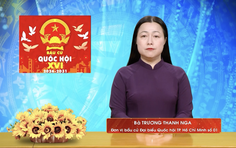 Chương trình hành động Ứng cử viên Đại biểu Quốc hội Khóa XVI Trương Thanh Nga