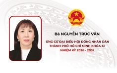 Tóm tắt tiểu sử bà Nguyễn Trúc Vân ứng cử Hội đồng nhân dân TP. Hồ Chí Minh Khóa XI