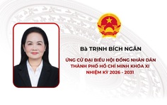 Tóm tắt tiểu sử bà Trịnh Bích Ngân ứng cử Hội đồng nhân dân TP. Hồ Chí Minh Khóa XI