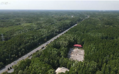 Cùng HTV Hành động xanh 2026 - Tập 1: Hệ sinh thái xanh nơi vùng biển TP. Hồ Chí Minh