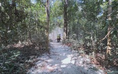 TP. Hồ Chí Minh chủ động phòng chống cháy rừng cao điểm mùa khô