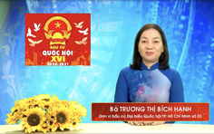 Chương trình hành động Ứng cử viên Đại biểu Quốc hội Khóa XVI Trương Thị Bích Hạnh