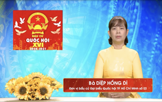 Chương trình hành động Ứng cử viên Đại biểu Quốc hội Khóa XVI Diệp Hồng Di