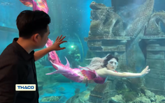 Người chung quanh ta - Tập 20: Chuyện "nàng tiên cá" Ngọc Ánh