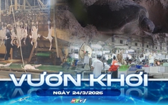 Vươn khơi - Ngày 24/3/2026 | Côn Đảo ghi nhận 48 tổ rùa biển tại Hòn Bảy Cạnh