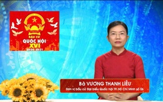 Chương trình hành động Ứng cử viên Đại biểu Quốc hội Khóa XVI Vương Thanh Liễu