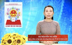 Chương trình hành động Ứng cử viên Đại biểu Hội đồng nhân dân TP. Hồ Chí Minh Khóa XI Nguyễn Thị Diễm