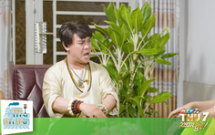 Lẹ không trễ tàu - 19g30 thứ Bảy (11/4) trên HTV7