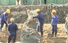 60 Giây ngày 29/5/2026 | Dự án Vành đai 3 TP. Hồ Chí Minh: Phấn đấu hoàn thành cuối năm 2026