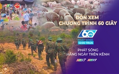 60 Giây Trưa ngày 23/6/2026 | Giá heo hơi hôm nay (23/6): tiếp tục điều chỉnh giảm.