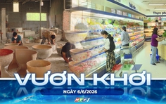 Vươn khơi - Ngày 6/6/2026 | Hoàn thiện tiêu chí đánh giá, phân hạng sản phẩm OCOP