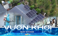Vươn khơi - Ngày 8/7/2026 | TP. Hồ Chí Minh nâng cao chất lượng phục vụ hành chính công