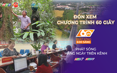 60 giây sáng ngày 12/8/2026 | Giữ màu xanh rừng lim cổ thụ nơi biên giới Hà Tĩnh