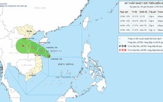 Thời tiết ngày 12/9: Áp thấp nhiệt đới hướng vào miền Trung, cảnh báo mưa lớn trên diện rộng