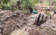Triều cường làm sạt lở đê bao, ngập hơn 15 ha vườn cây ở Tân Phú