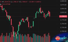 Thị trường chứng khoán Việt Nam ngày đầu nâng hạng tăng, giảm thế nào? | NewZMoney
