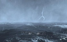 Các địa phương chủ động ứng phó áp thấp nhiệt đới, mưa bão
