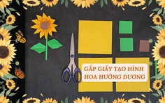 Gấp giấy tạo hình hoa hướng dương