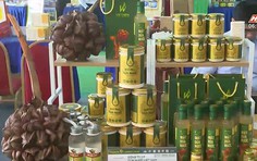 Kết nối TP.HCM và bốn tỉnh miền Tây Nam bộ trong yêu cầu phát triển vùng