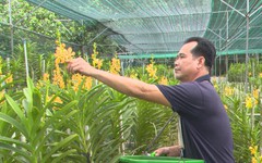 TP. Hồ Chí Minh đặt mục tiêu tăng trưởng sản xuất hoa, cây kiểng 2,5 - 3,5%/năm