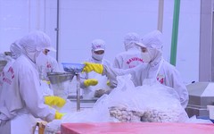 TP. Hồ Chí Minh hỗ trợ doanh nghiệp tận dụng CEPA mở rộng thị trường xuất khẩu