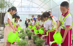 Tân Mỹ Xanh: Để học sinh học cách sống xanh từ thực tiễn