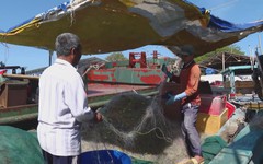 Nhiều tàu cá nằm bờ vì giá nhiên liệu tăng cao