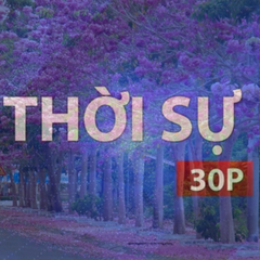 Thời sự 30p chiều: Vườn kèn hồng ở TP. Hồ Chí Minh hút khách chụp ảnh