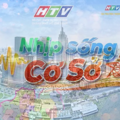 Nhịp sống cơ sở: TP. Hồ Chí Minh cao điểm hỗ trợ hộ kinh doanh kê khai thuế