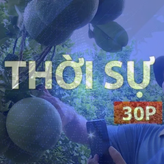 Thời sự 30p trưa: Trồng Bưởi bonsai - mô hình mới của nông dân tân uyên