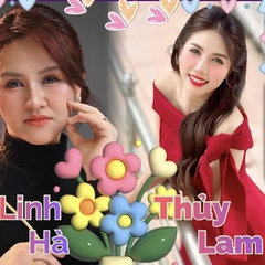 Nhịp sống Sài Gòn trưa: Khám phá Rừng Đước Năm Căn, khu rừng ngập mặn có diện tích lớn thứ 2 thế giới