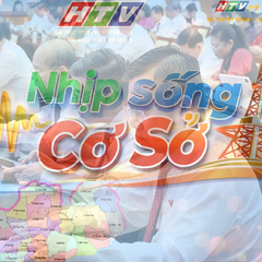 Nhịp sống cơ sở: HĐND TP. Hồ Chí Minh thông qua 53 nghị quyết chuyên đề, ưu tiên chăm lo an sinh xã hội