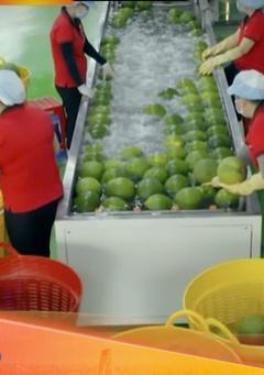 Biến động địa chính trị và bài toán thích ứng của DN xuất khẩu